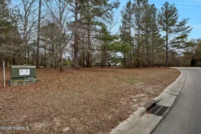 106 Cape Jasmine Lane, Wallace, NC 28466 - Photo 10