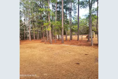 735 W Philadelphia Avenue, Pinebluff, NC 28373 - Photo 32