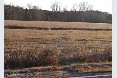 Tract 3 E Raynham Road, Fairmont, NC 28340 - Photo 6