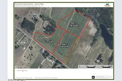 Tract 2 E Raynham Road, Fairmont, NC 28340 - Photo 2