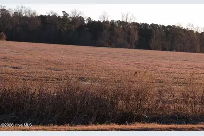 Tract 2 E Raynham Road, Fairmont, NC 28340 - Photo 4