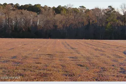 Tract 2 E Raynham Road, Fairmont, NC 28340 - Photo 6