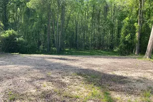 316 Bayview Rd, Bath, NC 27808 - Photo 1