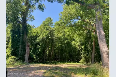 316 Bayview Road, Bath, NC 27808 - Photo 8