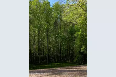 316 Bayview Road, Bayview, NC 27808 - Photo 10