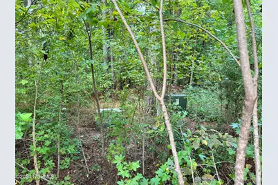 81 Beans Bend, Chocowinity, NC 27817 - Photo 12