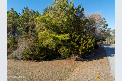 100 Singleton Street, Sneads Ferry, NC 28460 - Photo 10