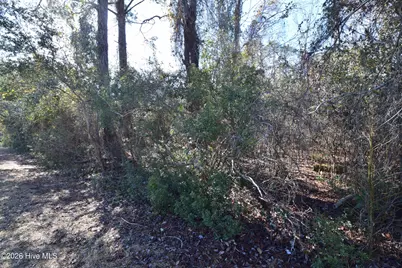 6109 Gondolier Drive, New Bern, NC 28560 - Photo 2