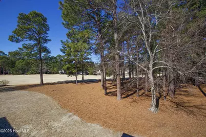 10 Pine Tree Road # 216, Pinehurst, NC 28374 - Photo 14