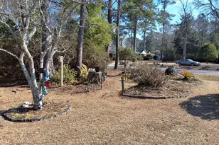 503 Anderson St, Tabor City, NC 28463 - Photo 96