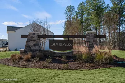 224 Olive Branch Street, Sanford, NC 27332 - Photo 38