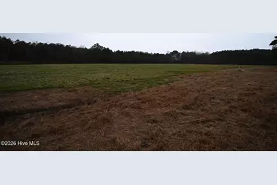 1535 Maul Swamp Road, Vanceboro, NC 28586 - Photo 28