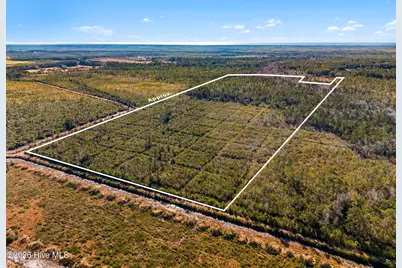 Tr-2 75.34 Ac, Bolivia, NC 28422 - Photo 12