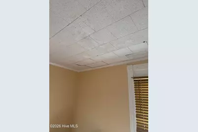 120 Ives Street, Bethel, NC 27812 - Photo 26