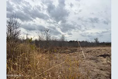 943 Off 943 Governors Rd Nc 308 Road, Windsor, NC 27983 - Photo 32