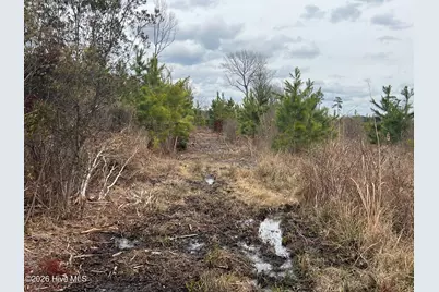 943 Off 943 Governors Rd Nc 308 Road, Windsor, NC 27983 - Photo 18
