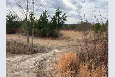 943 Off 943 Governors Rd Nc 308 Road, Windsor, NC 27983 - Photo 22