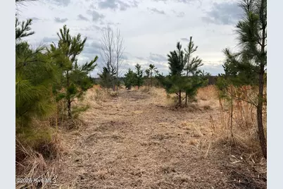 943 Off 943 Governors Rd Nc 308 Road, Windsor, NC 27983 - Photo 36