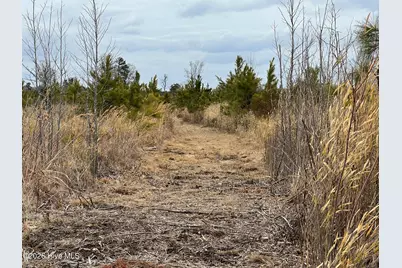 943 Off 943 Governors Rd Nc 308 Road, Windsor, NC 27983 - Photo 34