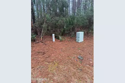 180 Tall Pines Drive, Oriental, NC 28571 - Photo 10
