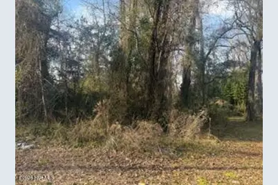 002224 E Near 217 E Clay Street, Whiteville, NC 28472 - Photo 2