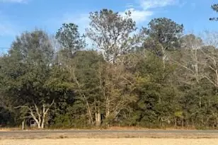 120 Rough Horn Rd, Evergreen, NC 28438 - Photo 1