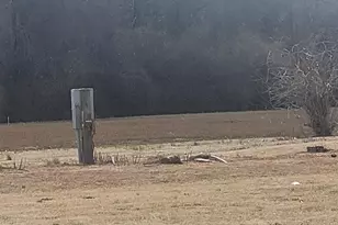 [Address not provided], Willard, NC 28478 - Photo 4