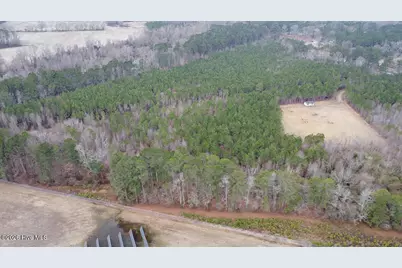 0 Morning Star Church Road, Battleboro, NC 27809 - Photo 10