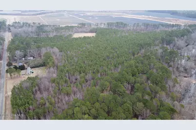 0 Morning Star Church Road, Battleboro, NC 27809 - Photo 6