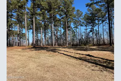 2 Bald Head Island Court S, Oriental, NC 28571 - Photo 4