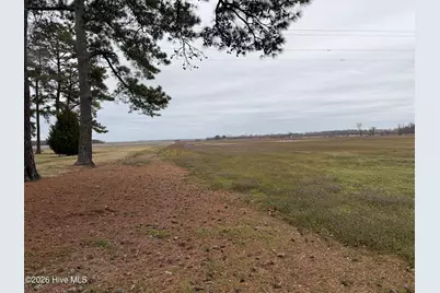 0 Nc 99, Pantego, NC 27860 - Photo 2