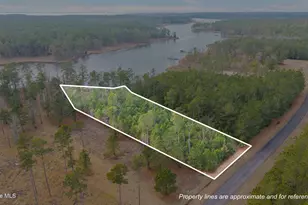 Lot 17 Bailey Pointe Dr, Belhaven, NC 27810 - Photo 1