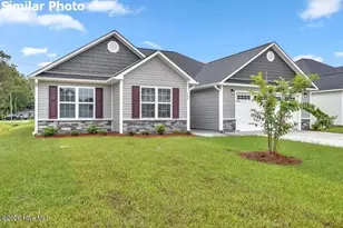 701 Puppy Drum Ln, Maysville, NC 28555 - Photo 2