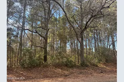 0 Butler Mill Road, Bladenboro, NC 28320 - Photo 1