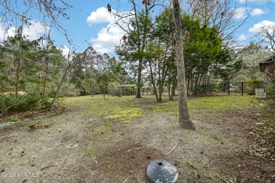 236 Ravenswood Road, Hampstead, NC 28443 - Photo 8