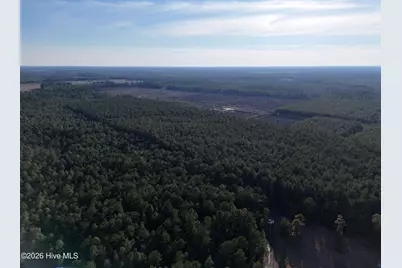 40 Acres Haw Branch Road, Beulaville, NC 28518 - Photo 4