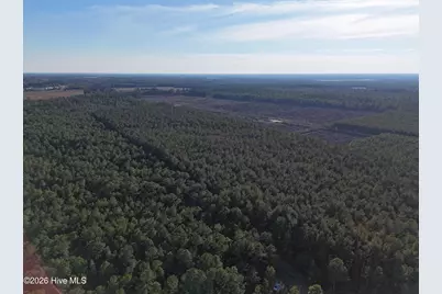 40 Acres Haw Branch Road, Beulaville, NC 28518 - Photo 6