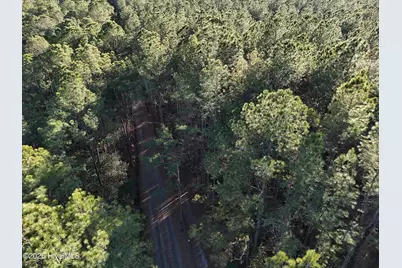 40 Acres Haw Branch Road, Beulaville, NC 28518 - Photo 8