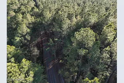 40 Acres Haw Branch Road, Beulaville, NC 28518 - Photo 10