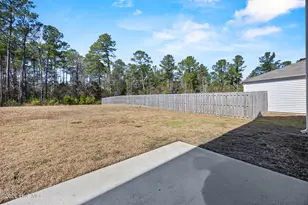 756 Buckeye Rd NE, Leland, NC 28451 - Photo 46