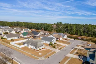 1317 Windsor Pines Ct, Leland, NC 28451 - Photo 40