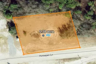 492 Horsepen Ln, Mount Olive, NC 28365 - Photo 2