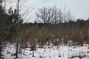 101 Esterville Rd, Elizabethtown, NC 28337 - Photo 2