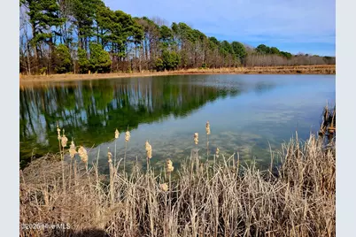 2424 Thompson Avenue, Turkey, NC 28393 - Photo 1