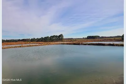 2424 Thompson Avenue, Turkey, NC 28393 - Photo 16