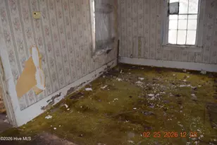 519 Church St, Fairfield, NC 27826 - Photo 12