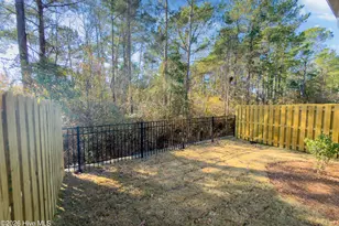 4620 Sweet Jasmine Run, Wilmington, NC 28412 - Photo 40