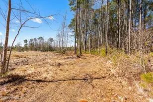 2147 Rosemary Ln SW, Supply, NC 28462 - Photo 38