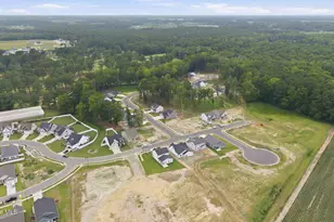 987 Rialto Ln, Ayden, NC 28513 - Photo 48
