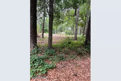 2933 Island Drive SE, Bolivia, NC 28422 - Photo 12